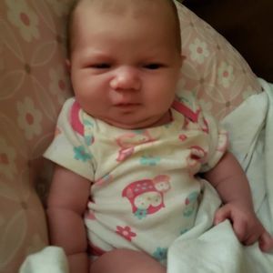 Meet your Posher, Howard